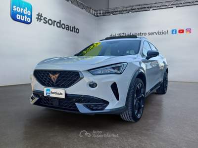 Cupra Formentor 1.5 TSI DSG Bianco usata Castagnaro