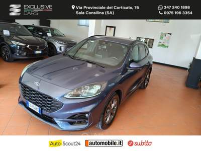 Ford Kuga Kuga 2.0 EcoBlue 150CV aut.AWD ST-Line X Grigio usata Sala Consilina