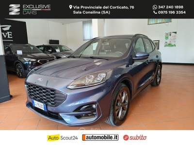 Ford Kuga Kuga 2.0 EcoBlue 150CV aut.AWD ST-Line X Grigio usata Sala Consilina