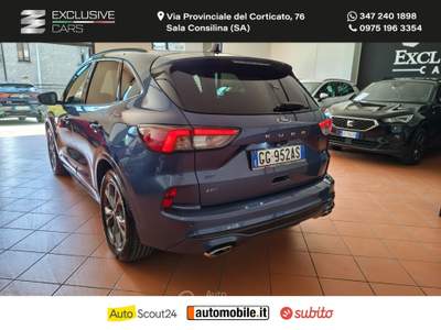 Ford Kuga Kuga 2.0 EcoBlue 150CV aut.AWD ST-Line X Grigio usata Sala Consilina