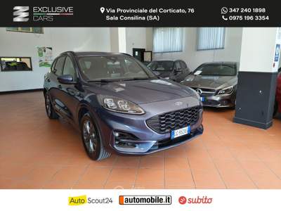 Ford Kuga Kuga 2.0 EcoBlue 150CV aut.AWD ST-Line X Grigio usata Sala Consilina