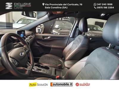 Ford Kuga Kuga 2.0 EcoBlue 150CV aut.AWD ST-Line X Grigio usata Sala Consilina