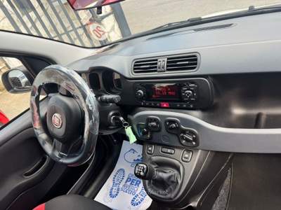 Fiat Panda Easy Bianco usata CURTI