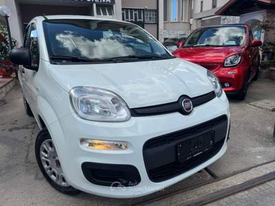 Fiat Panda Easy Bianco usata CURTI