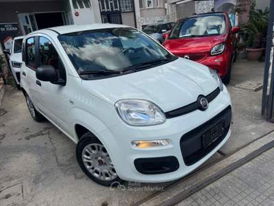 Fiat Panda Easy Bianco usata CURTI