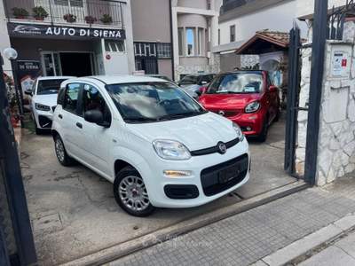 Fiat Panda Easy Bianco usata CURTI