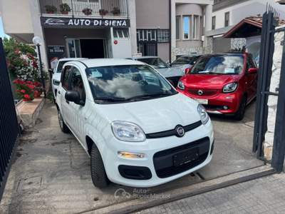 Fiat Panda Easy Bianco usata CURTI