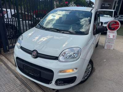 Fiat Panda Easy Bianco usata CURTI