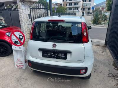 Fiat Panda Easy Bianco usata CURTI
