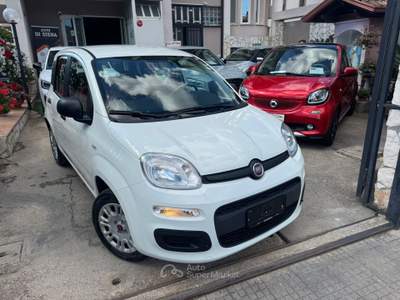 Fiat Panda Easy Bianco usata CURTI
