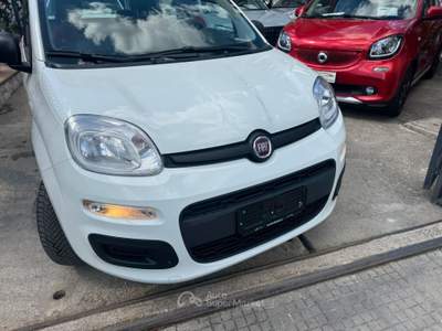 Fiat Panda Easy Bianco usata CURTI