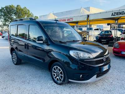 Fiat Doblò Doblo 1.6 MJT 120CV PC COMBI Bronzo usata Massarosa