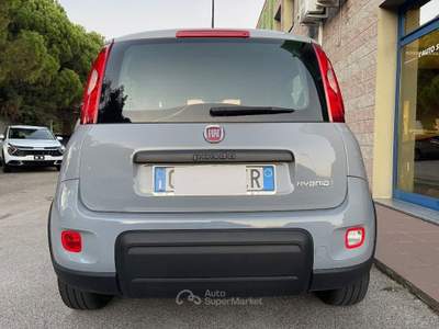 Fiat Panda 1.0 FIREFLY HYBRID 70CV CITY LIFE BLUETOOH Grigio usata Venezia