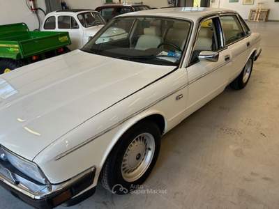 Jaguar XJ JAGUAR XJ 3,6 Beige usata Vetralla