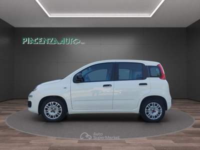 Fiat Panda 1.0 firefly hybrid s&amp;s 70cv 5p PREZZO REALE Bianco usata San Nicolò