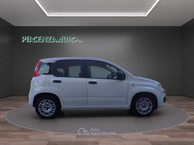 Fiat Panda 1.0 firefly hybrid s&amp;s 70cv 5p PREZZO REALE Bianco usata San Nicolò