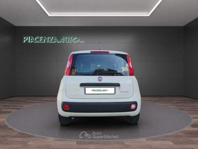 Fiat Panda 1.0 firefly hybrid s&amp;s 70cv 5p PREZZO REALE Bianco usata San Nicolò
