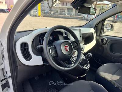 Fiat Panda Panda 1.0 firefly hybrid Cross s&s 70cv PANDINA Bianco usata Rimini