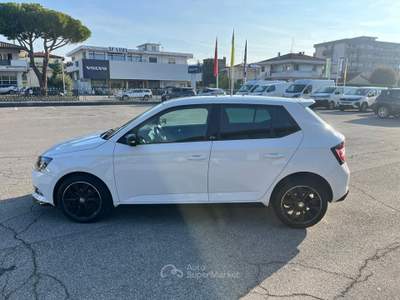 Skoda Fabia Fabia 1.4 TDI 75 CV Monte Carlo Bianco usata Rimini