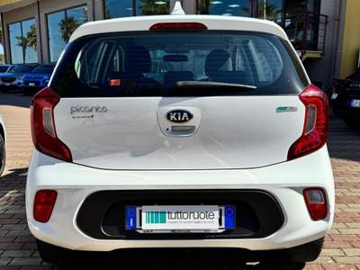 Kia Picanto Kia PICANTO 1.0 12V ECOGPL COOL Bianco usata Tuglie