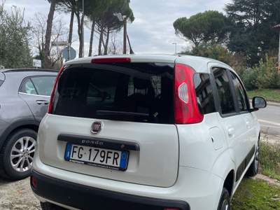Fiat Panda panda van 4x4, unico proprietario usata Città di Castello