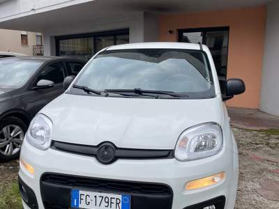 Fiat Panda panda van 4x4, unico proprietario usata Città di Castello