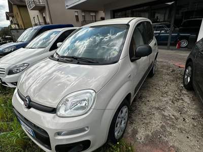 Fiat Panda PREZZO TRATTABILE, 5 POSTI, AUTORADIO usata Città di Castello