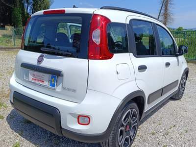 Fiat Panda City Life 5 posti bluetooth - SENZA OBBLIGO DI FINANZIAMENTO Bianco usata Bracciano