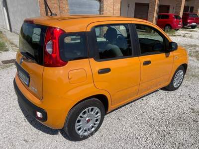 Fiat Panda FireFly S&S Hybrid Easy Arancione usata Reggio nell'Emilia