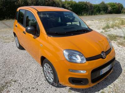 Fiat Panda FireFly S&S Hybrid Easy Arancione usata Reggio nell'Emilia