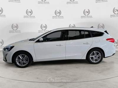Ford Focus 1.5 Ecoblue 120cv Business Auto Bianco usata Roma