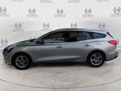 Ford Focus 1.5 Ecoblue 120cv Business Argento usata Roma