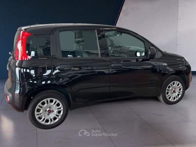 Fiat Panda III 2016 1.2 Easy easypower Gpl 69cv my19 Nero usata Torino