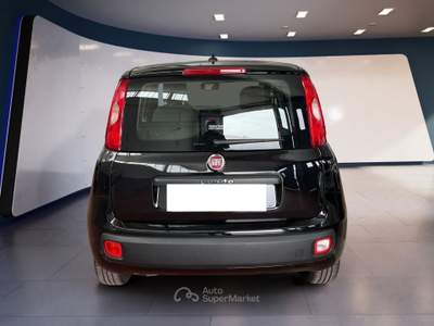 Fiat Panda III 2016 1.2 Easy easypower Gpl 69cv my19 Nero usata Torino