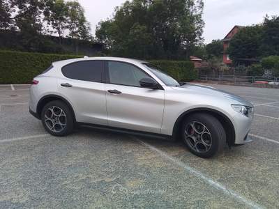 Alfa Romeo Stelvio Unico proprietario, tenuta in box Argento usata Torino