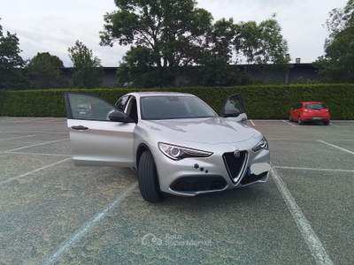 Alfa Romeo Stelvio Unico proprietario, tenuta in box Argento usata Torino