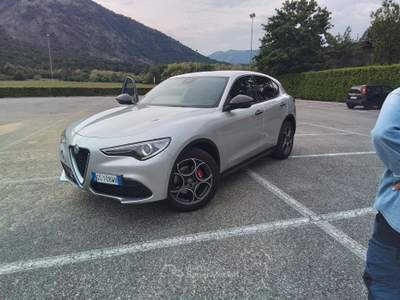 Alfa Romeo Stelvio Unico proprietario, tenuta in box Argento usata Torino