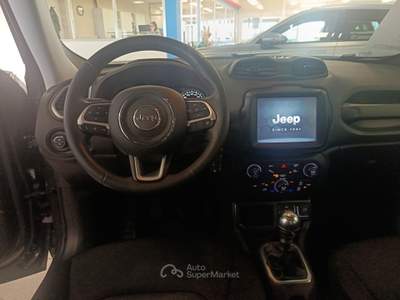 Jeep Renegade 1.6 MJet 130cv Business Grigio usata Villaga