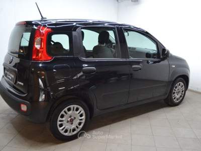 Fiat Panda 1.0 FireFly S&S Hybrid Easy Nero usata Rovigo