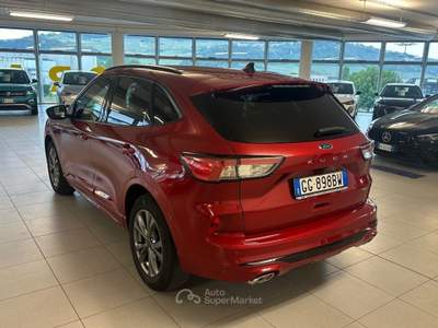 Ford Kuga 2.500 BENZINA FULL HYBRID 190 CV ST-LINE C.AUTO Rosso usata Alba