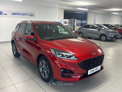 Ford Kuga 2.500 BENZINA FULL HYBRID 190 CV ST-LINE C.AUTO Rosso usata Alba