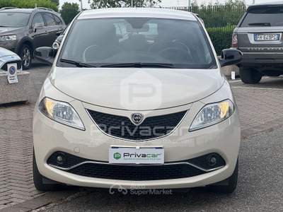 Lancia Ypsilon LANCIA Ypsilon 1.2 69 CV 5 porte GPL Ecochic Gold Bianco usata Abano Terme