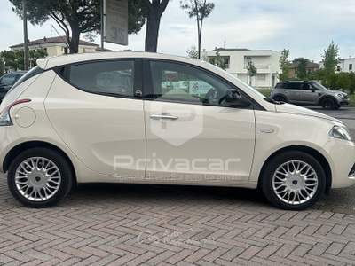 Lancia Ypsilon LANCIA Ypsilon 1.2 69 CV 5 porte GPL Ecochic Gold Bianco usata Abano Terme