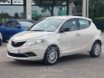 Lancia Ypsilon LANCIA Ypsilon 1.2 69 CV 5 porte GPL Ecochic Gold Bianco usata Abano Terme