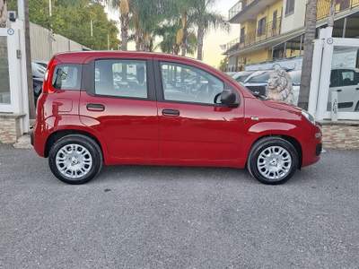 Fiat Panda FireFly S&S Hybrid Pandina Rosso usata San Giuseppe Vesuviano