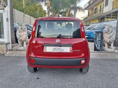 Fiat Panda FireFly S&S Hybrid Pandina Rosso usata San Giuseppe Vesuviano