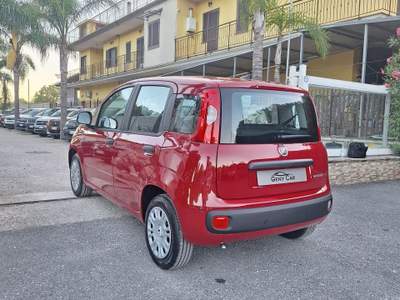 Fiat Panda FireFly S&S Hybrid Pandina Rosso usata San Giuseppe Vesuviano
