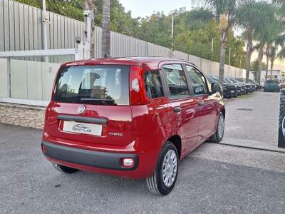 Fiat Panda FireFly S&S Hybrid Pandina Rosso usata San Giuseppe Vesuviano