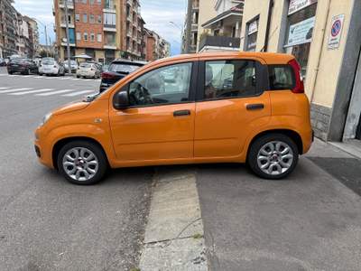 Fiat Panda FIAT PANDA BENZ/GPL Arancione usata Torino