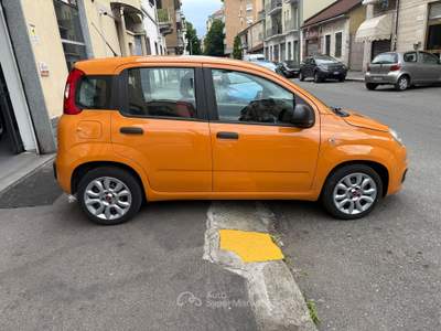 Fiat Panda FIAT PANDA BENZ/GPL Arancione usata Torino
